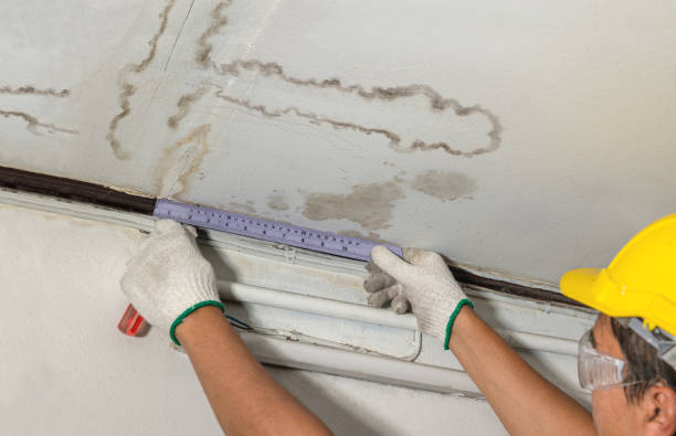 Reliable Mold Remediation contractor in Utica, MS by Water Damage Irwin